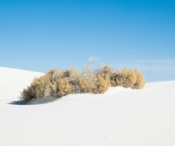 White Sands National Monument, USA